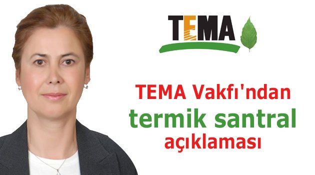 TEMA Vakfı'ndan termik santral açıklaması